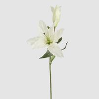 Casablanca 76cm Floral Stem White