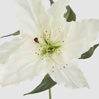 Casablanca 76cm Floral Stem White