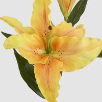 Casablanca 76cm Floral Stem Yellow