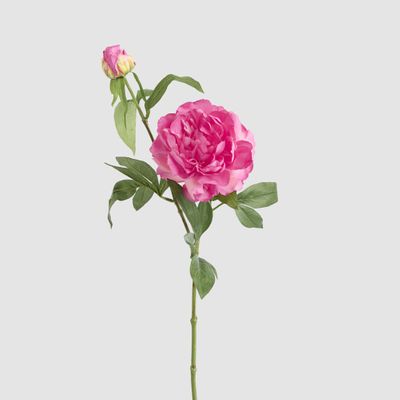 Peony 69cm Floral Stem Hot Pink