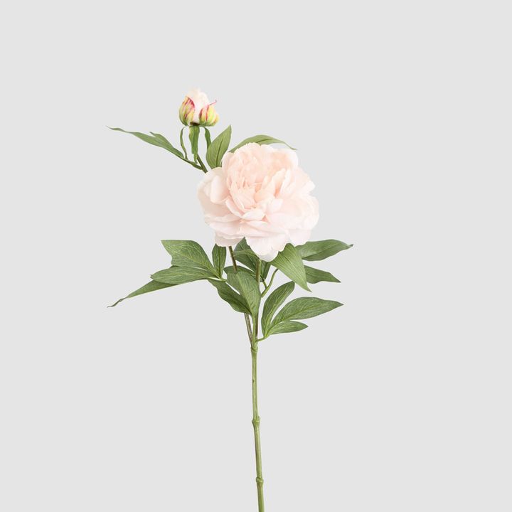 Peony 69cm Floral Stem Blush Pink