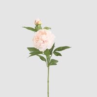 Peony 69cm Floral Stem Blush Pink
