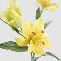 Tiger Lily Spray W/2 Flowers & 1 Bud 71cm Yellow