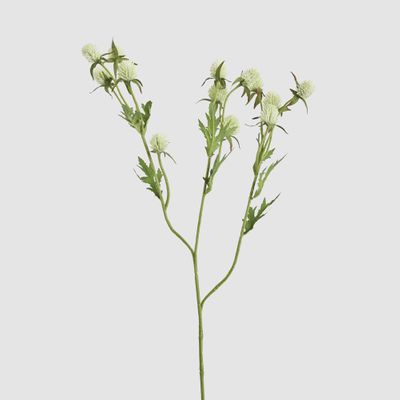 Thistle Spray 73cm White
