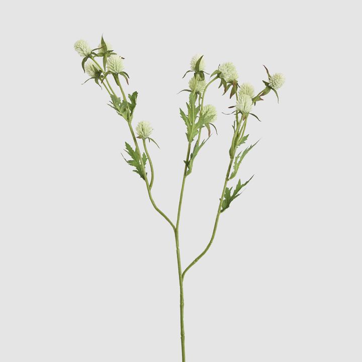 Thistle Spray 73cm White