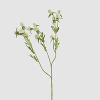 Thistle Spray 73cm White