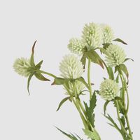 Thistle Spray 73cm White