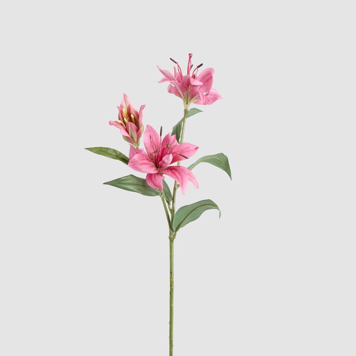 Tiger Lily Spray W/2 Flowers & 1 Bud 71cm Hot Pink