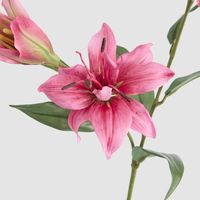 Tiger Lily Spray W/2 Flowers & 1 Bud 71cm Hot Pink