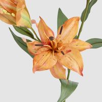 Tiger Lily Spray W/2 Flowers & 1 Bud 71cm Orange