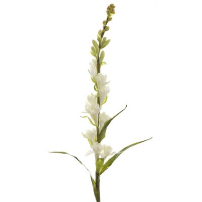 Tuberose Spray 80cm Cream