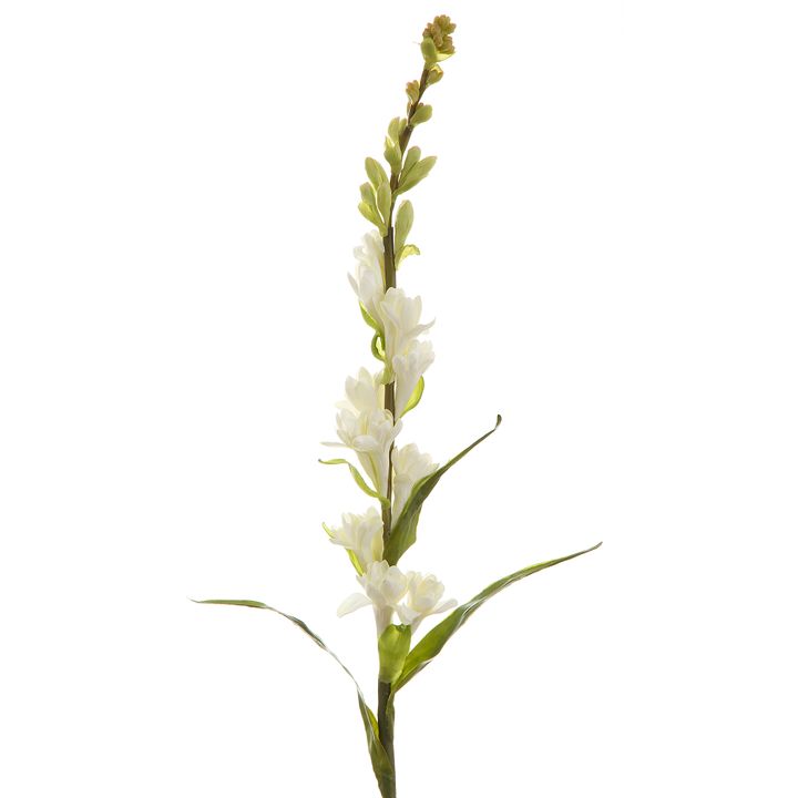 Tuberose Spray 80cm Cream