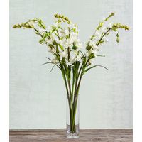 Tuberose Spray 80cm Cream