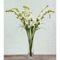 Tuberose Spray 80cm Cream