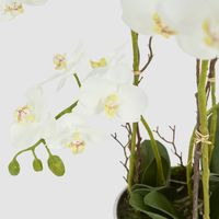 Orchid Real Touch 60cm in White Pot Silver Rim