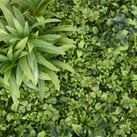 Variegated Foliage Wall UV Treated 1x1m.