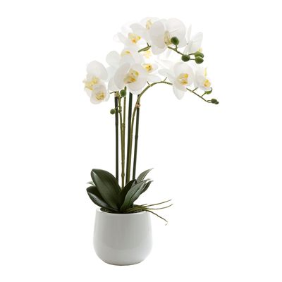 Phalaenopsis Real Touch Gloss Ceramic Pot 60cm White