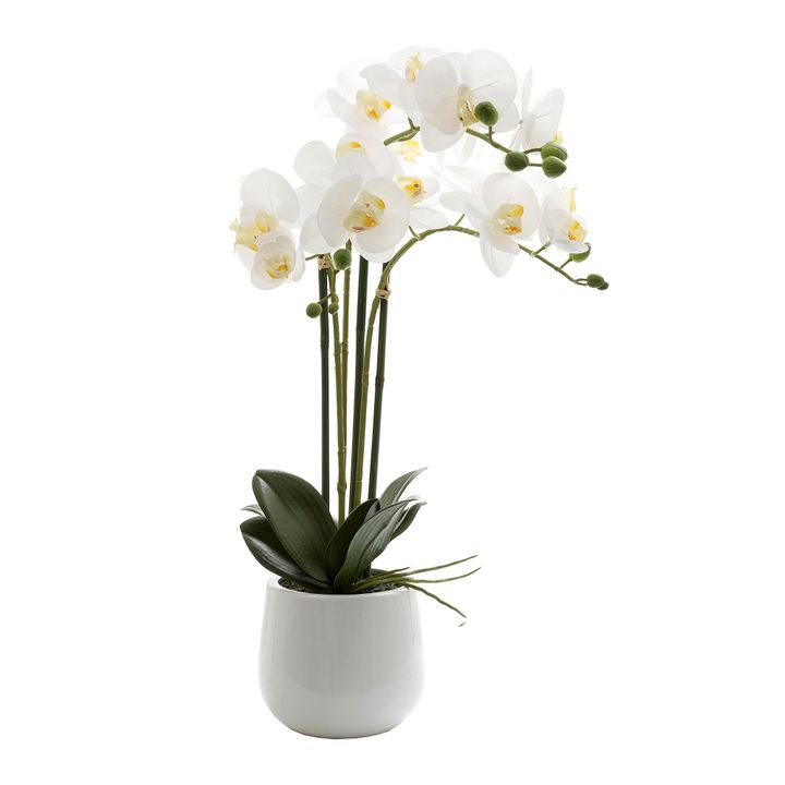 Phalaenopsis Real Touch Gloss Ceramic Pot 60cm White