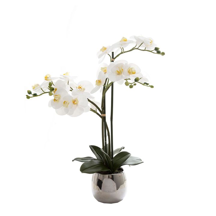 Phalaenopsis Real Touch in Silver Pot 67cm White