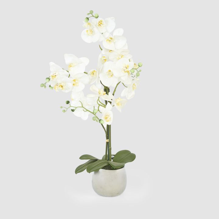 Phalaenopsis Real Touch in Silver Pot 67cm White