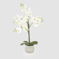 Phalaenopsis Real Touch in Silver Pot 67cm White