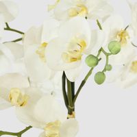 Phalaenopsis Real Touch in Silver Pot 67cm White