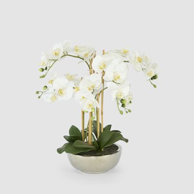Phalaenopsis Real Touch in Silver Pot 50cm White