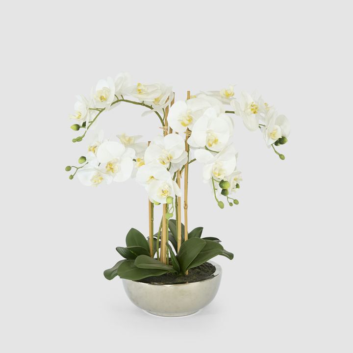 Phalaenopsis Real Touch in Silver Pot 50cm White