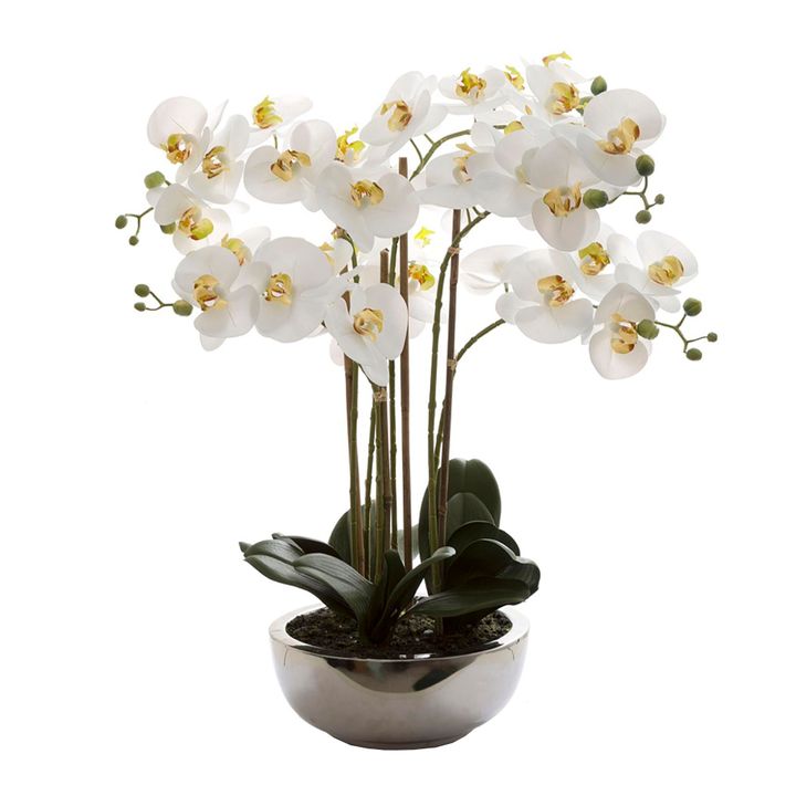 Phalaenopsis Real Touch in Silver Pot 50cm White