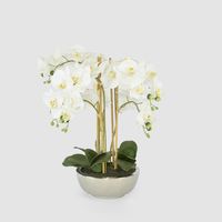 Phalaenopsis Real Touch in Silver Pot 50cm White