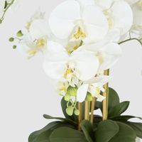 Phalaenopsis Real Touch in Silver Pot 50cm White