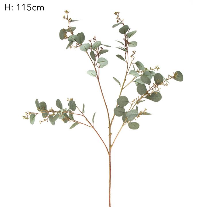 Eucalyptus Seed Spray 1.2m