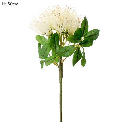 Wild Protea 50cm White