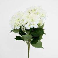 Hydrangea Bundle with Leaves 55cm White