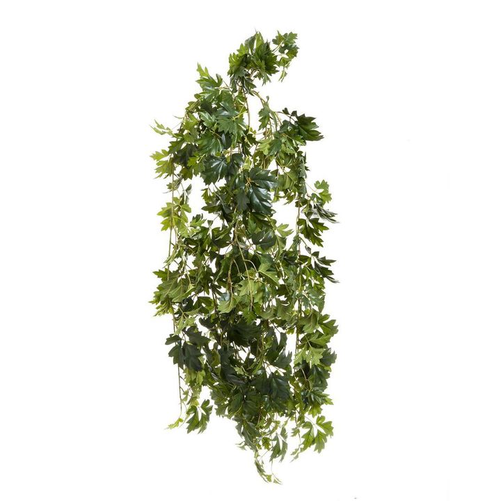 Hanging Cissus Bush 1.10m