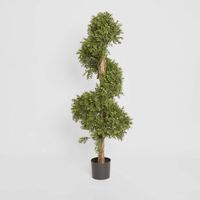 Boxwood Spiral Tree Budget 1.4m