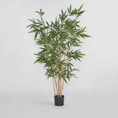 New Bamboo Tree Budget 1.6m