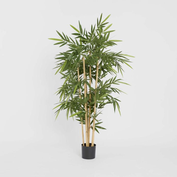 New Bamboo Tree 1.5m