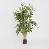 New Bamboo Tree 1.5m