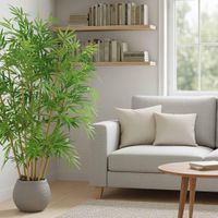 New Bamboo Tree 1.5m