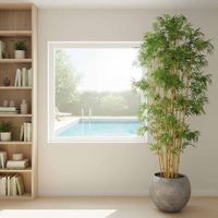 Oriental Bamboo Tree 1.9m