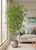 Oriental Bamboo Tree 1.9m