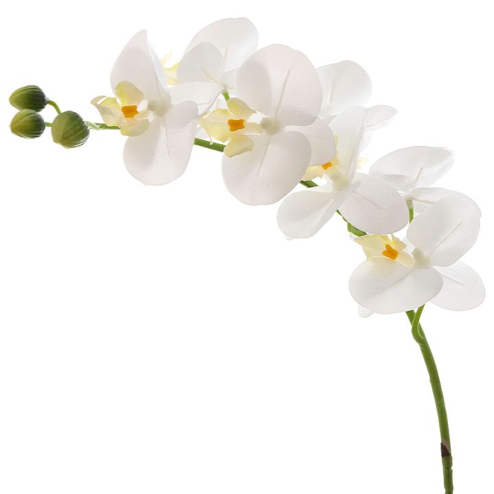 Orchid Phalaenopsis Real Touch 75cm White