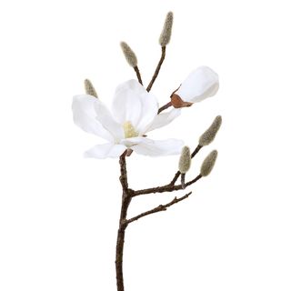Magnolia Spray 45cm White