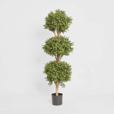 Boxwood Triple Ball Tree 1.2