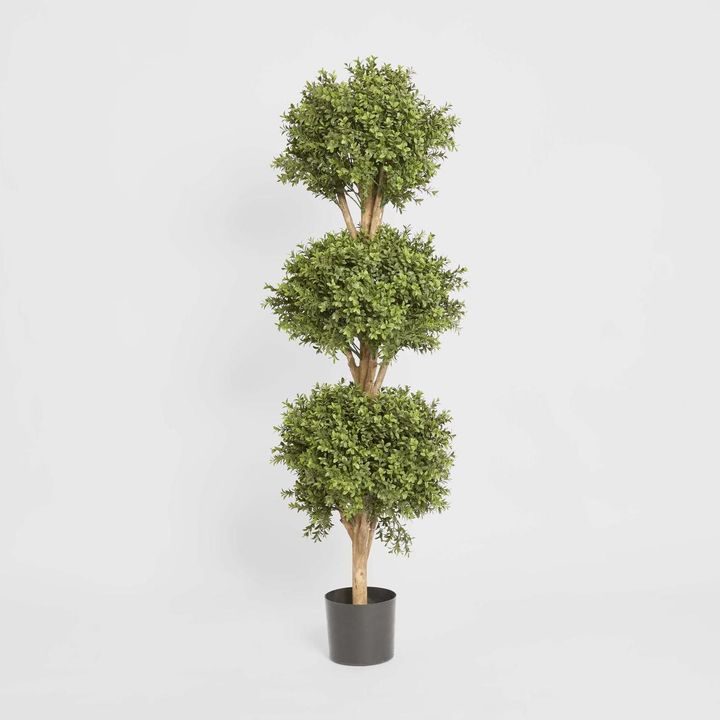 Boxwood Triple Ball Tree 1.2