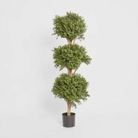 Boxwood Triple Ball Tree 1.2
