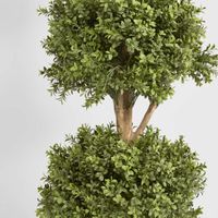 Boxwood Triple Ball Tree 1.2