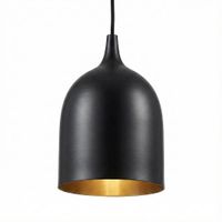 Lumi-R Ceiling Pendant Black and Silver