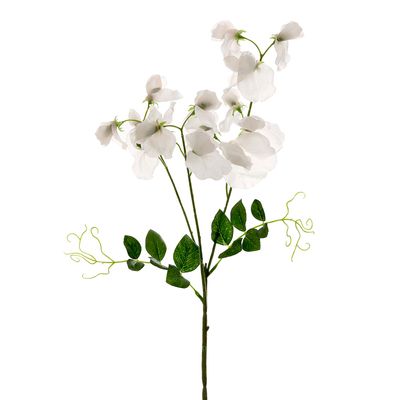 Sweetpea Spray 70cm White